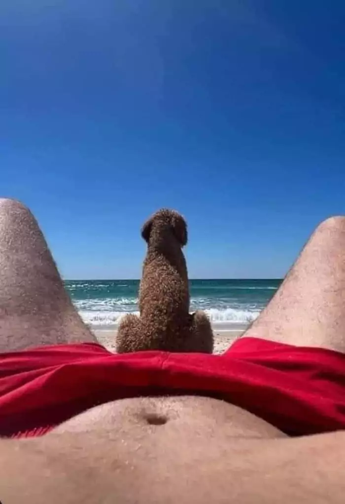 Picdump 038 15