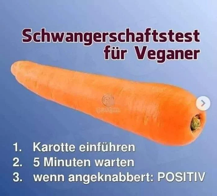 Picdump 056 12