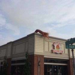 das luftmaennchen macht nicht ge