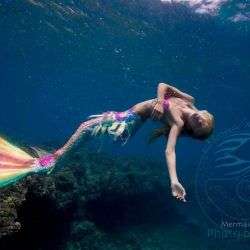 Es gibt also doch noch Meerjungfrauen es gibt also doch noch meerjungf