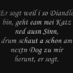 Finger weg von meiner Musch finger weg von meiner musch