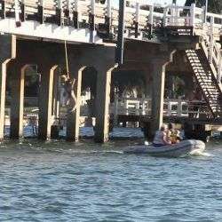 Idiot klemmt sich Eier ein idiot klemmt sich eier ein