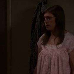 Sheldon und Amy haben Sex sheldon und amy haben