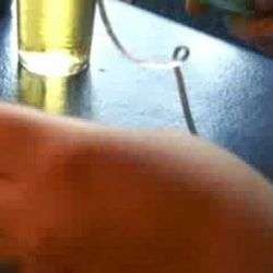 Was für ein Taschendildo was fuer ein taschendildo