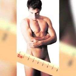 wie gross muss ein penis sein