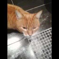 wollt ihr mal meine muschi sehen